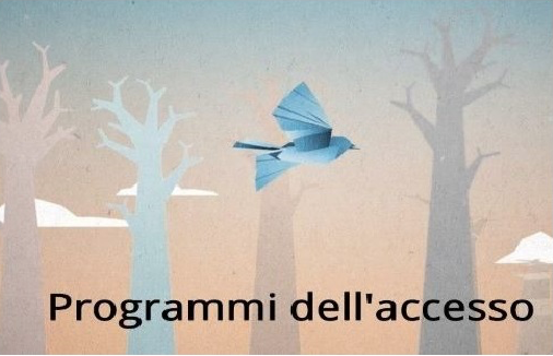Immagine notizia